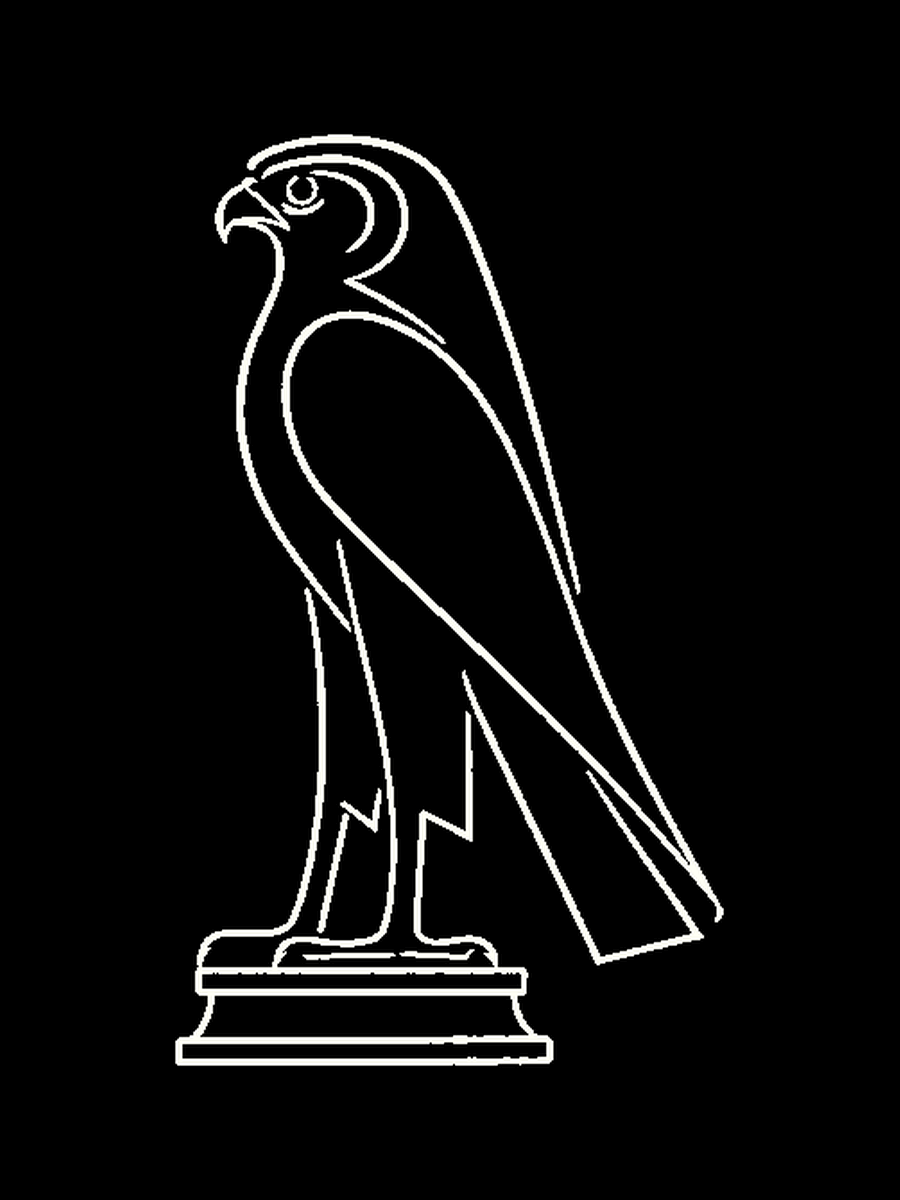 feim-falconi — viivapiirros