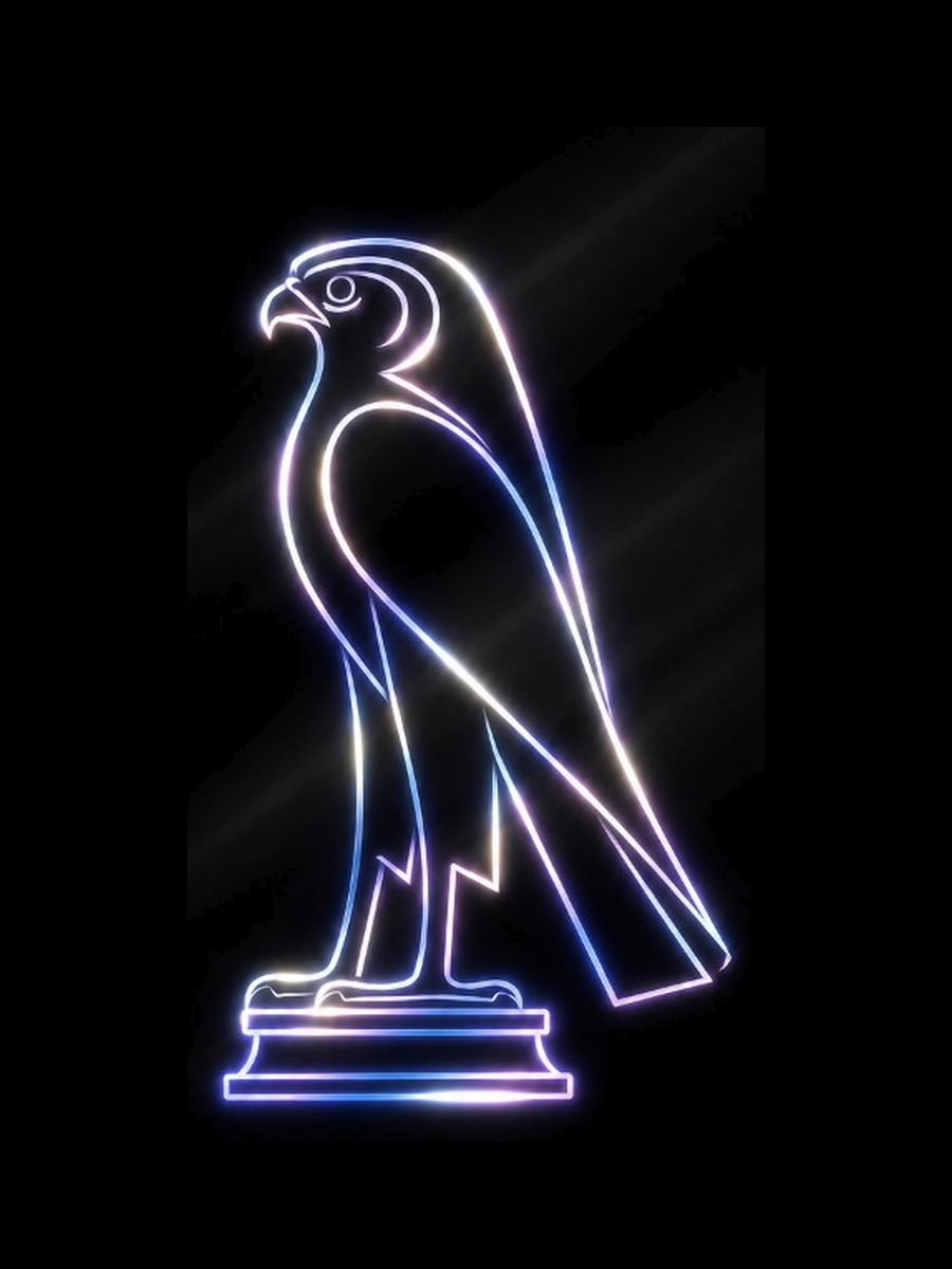 feim-falconi — neon